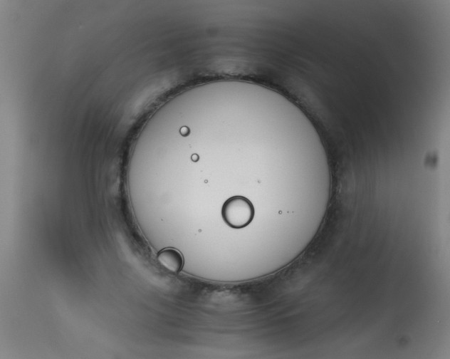 X0000114170635200910221652