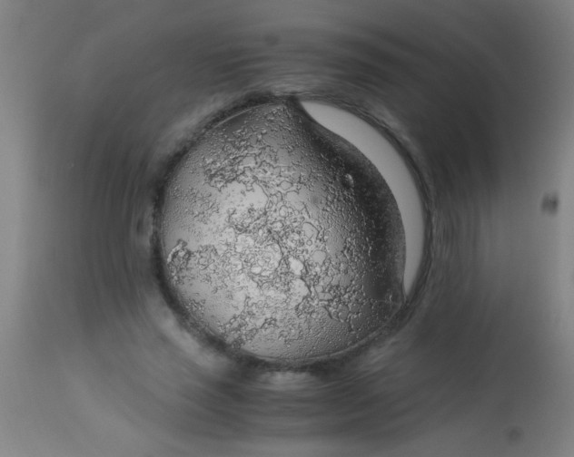 X0000114170637200910221652