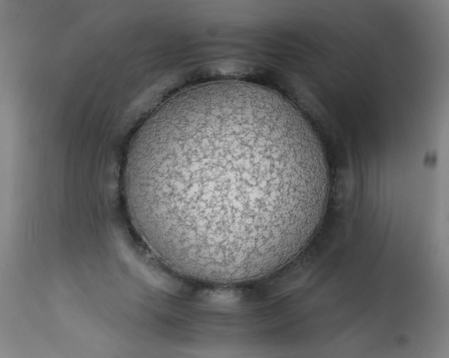 X0000114170639200910221652