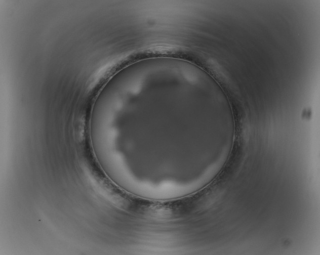 X0000114170640200910221652