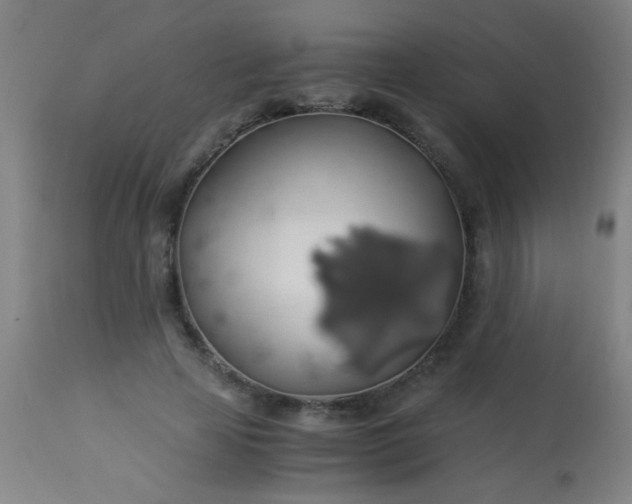 X0000114170641200910221652