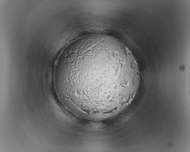 X0000114170642200910221652