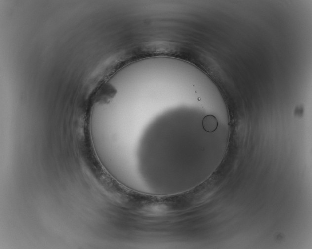 X0000114170643200910221652