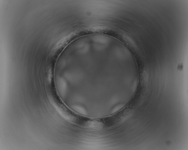 X0000114170644200910221652