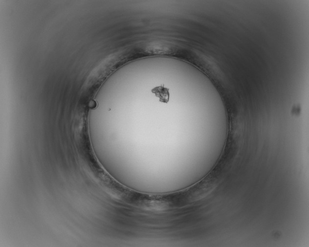 X0000114170645200910221652