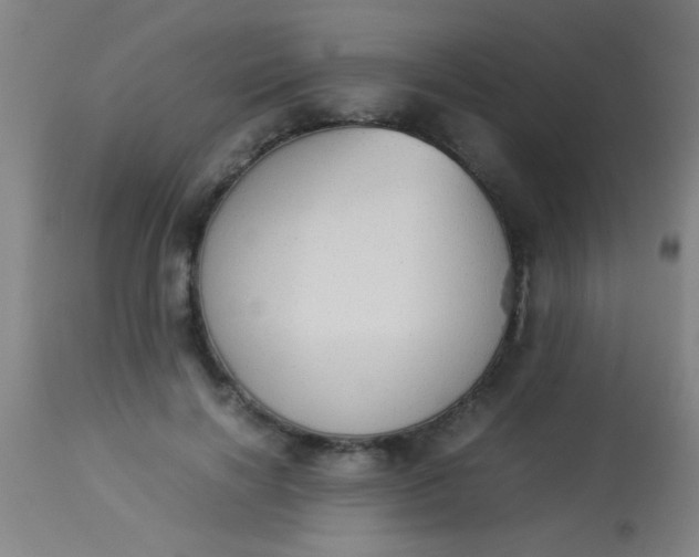 X0000114170646200910221652