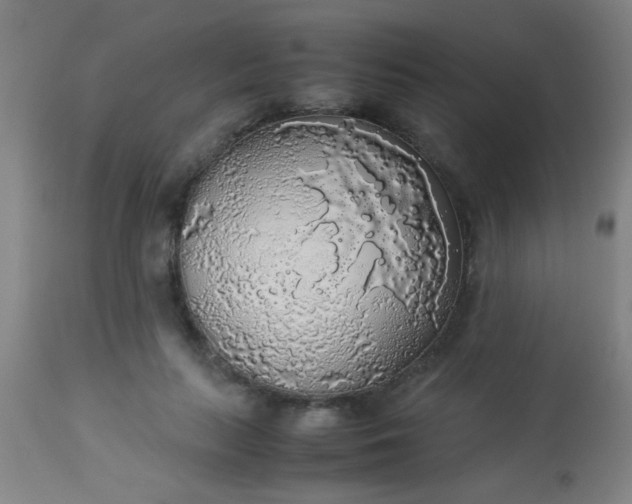 X0000114170647200910221652