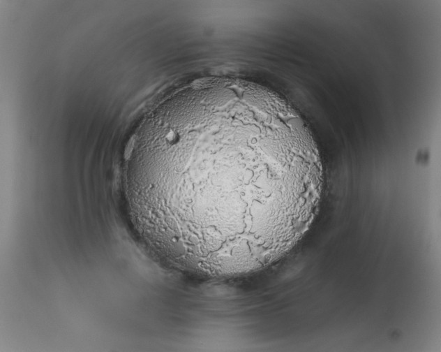 X0000114170648200910221652