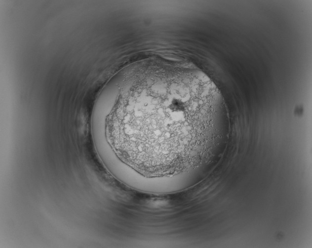 X0000114170651200910221652