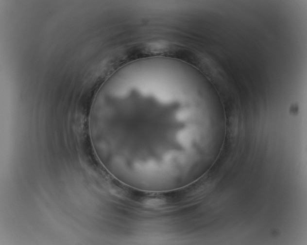 X0000114170653200910221652