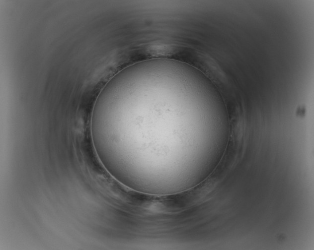 X0000114170655200910221652