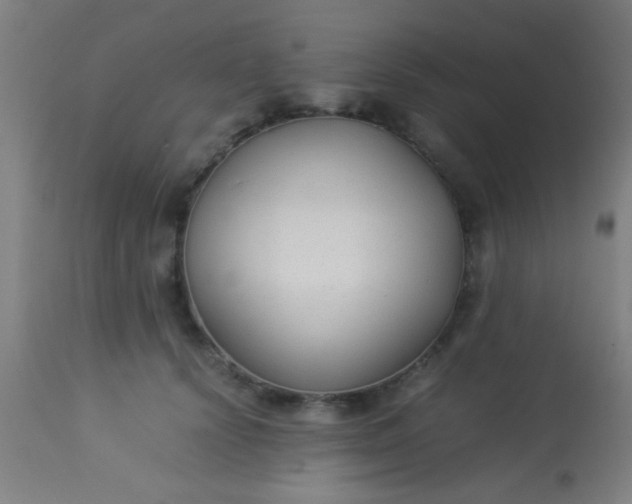 X0000114170656200910221652