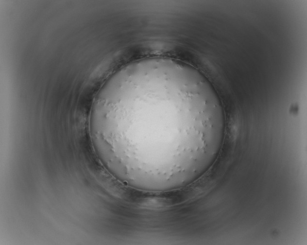 X0000114170657200910221652