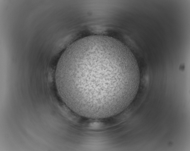 X0000114170658200910221652