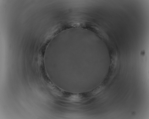 X0000114170659200910221652