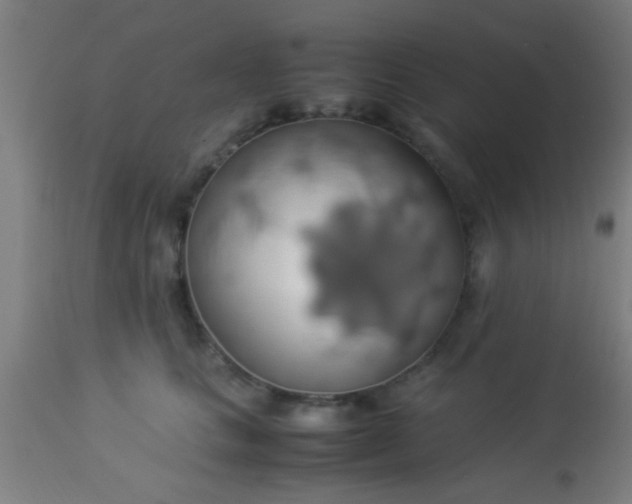 X0000114170661200910221652