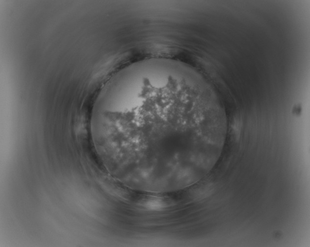 X0000114170663200910221652