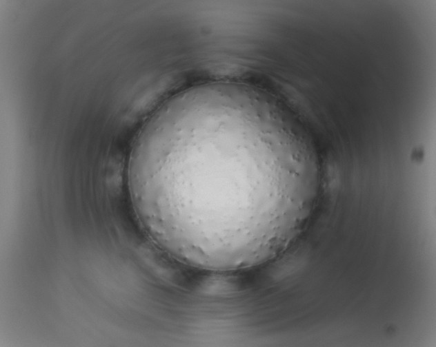 X0000114170664200910221652