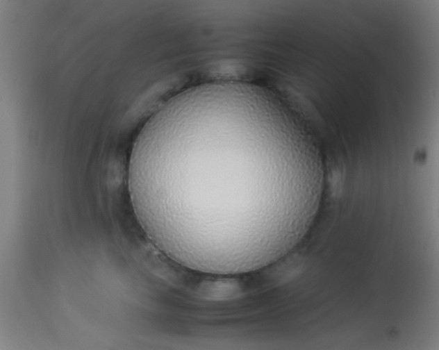 X0000114170665200910221652