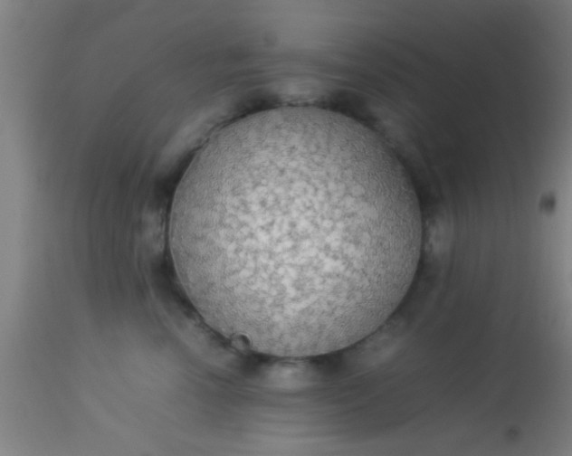 X0000114170666200910221652