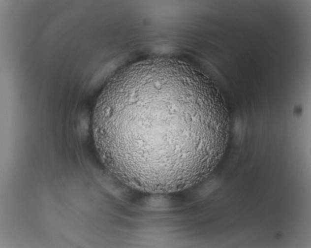 X0000114170668200910221652