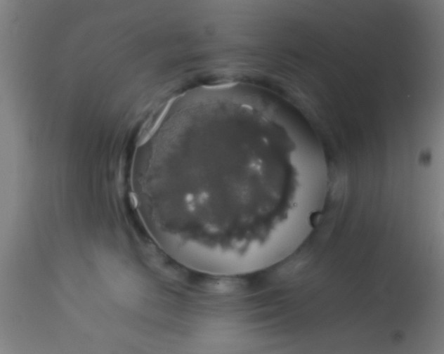 X0000114170670200910221652