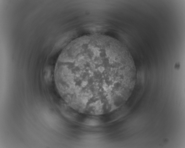 X0000114170671200910221652