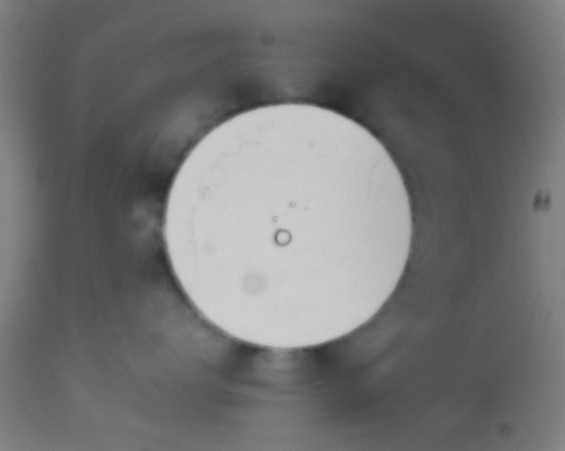 X0000114170672200910221652