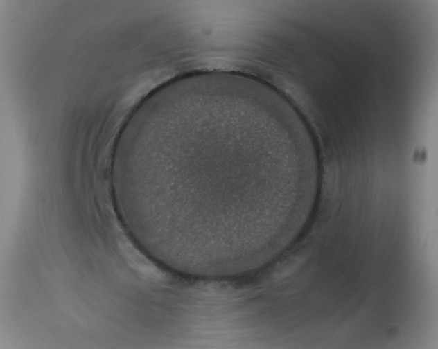 X0000114170673200910221651