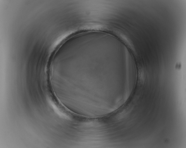 X0000114170674200910221651