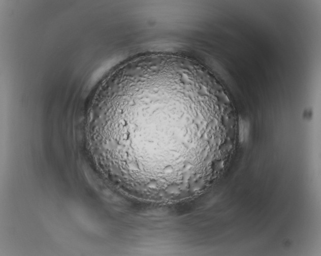 X0000114170675200910221651