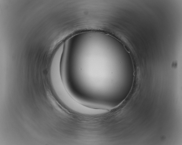 X0000114170677200910221651