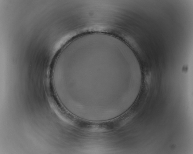 X0000114170678200910221651