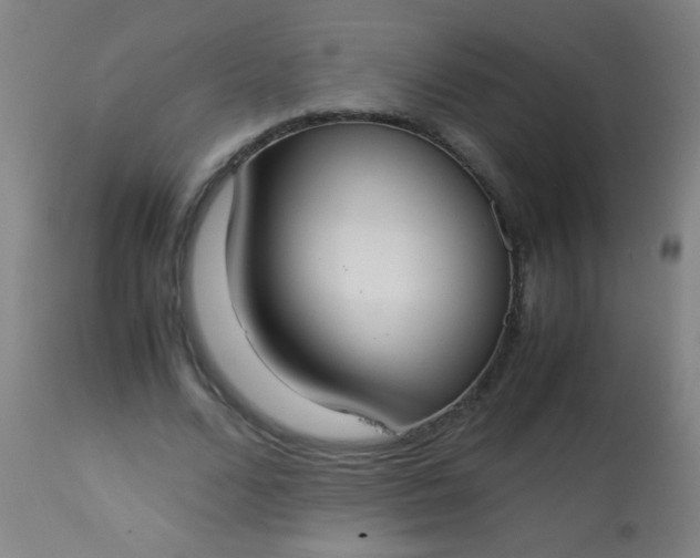 X0000114170680200910221651