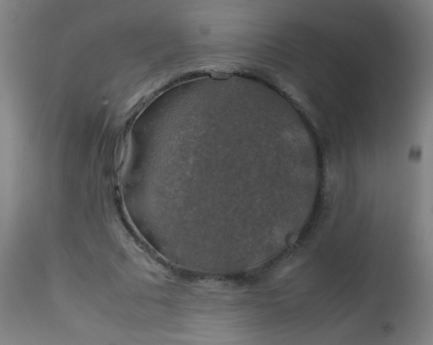 X0000114170681200910221651