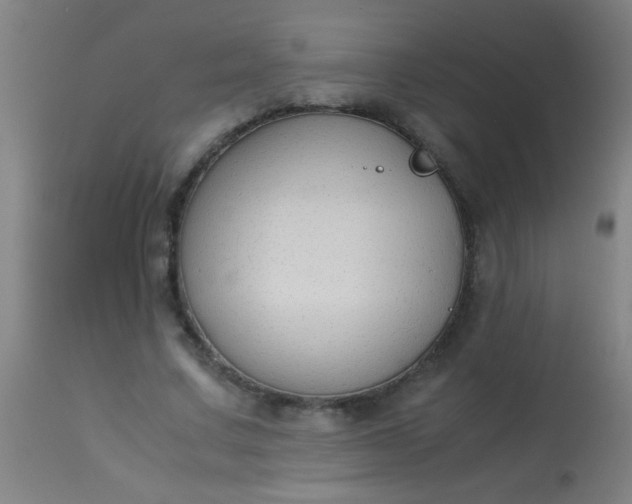 X0000114170683200910221651