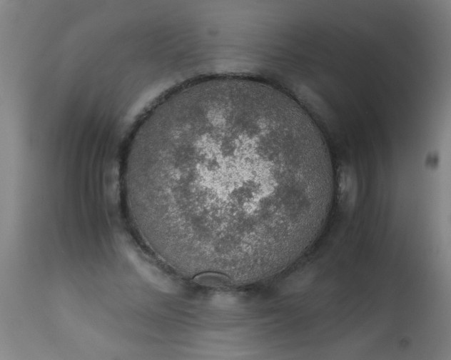 X0000114170684200910221651