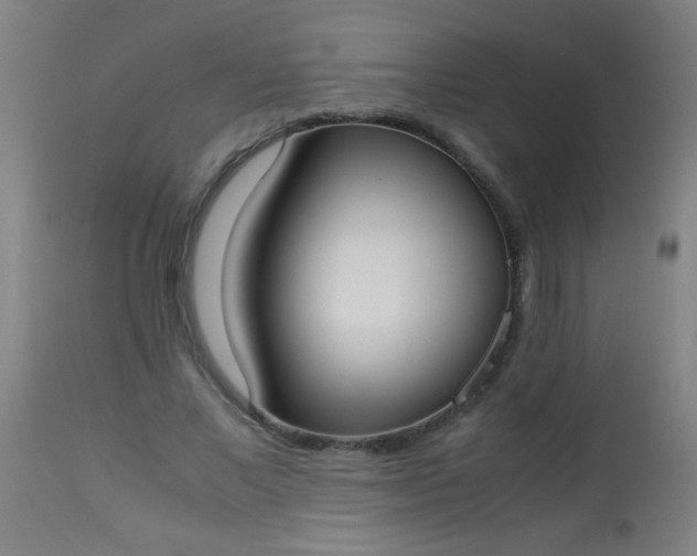 X0000114170685200910221651