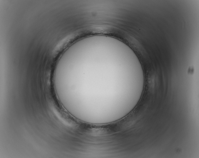 X0000114170686200910221651