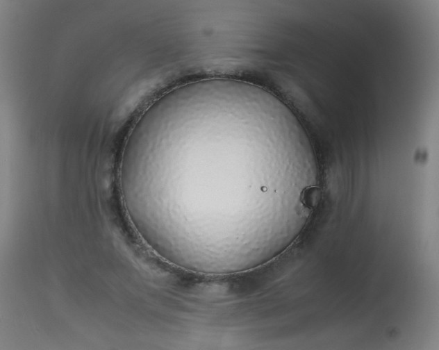 X0000114170687200910221651