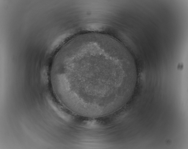 X0000114170688200910221651