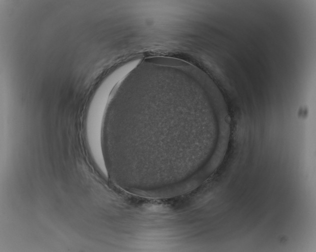 X0000114170689200910221651