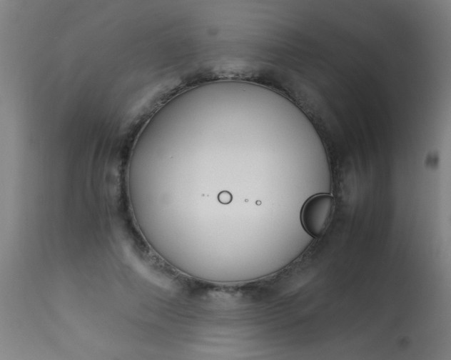 X0000114170690200910221651