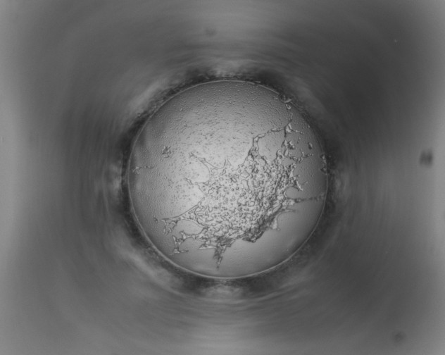 X0000114170691200910221651