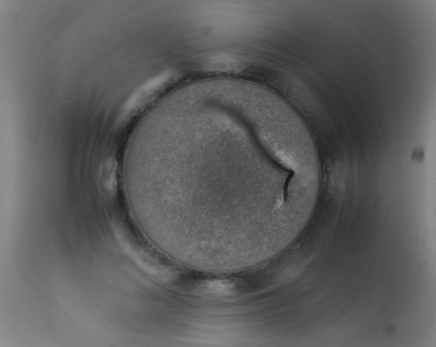 X0000114170692200910221651