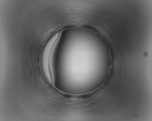 X0000114170693200910221651