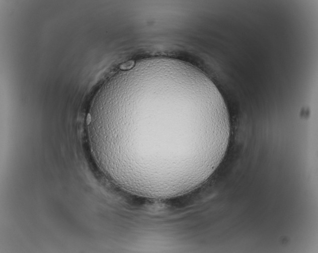 X0000114170695200910221651