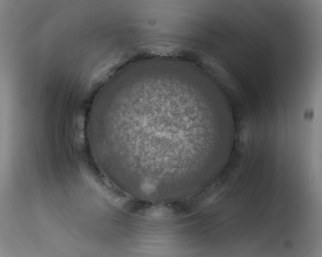 X0000114170696200910221651