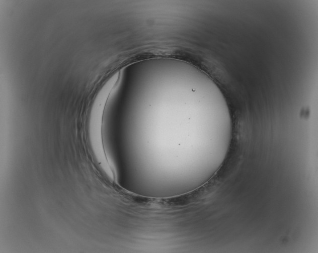 X0000114170697200910221651