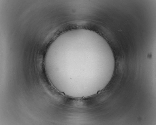 X0000114170698200910221651